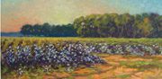 Color, Light & Forms of the Lowcountry