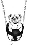 Dog Day