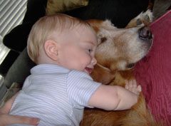 It’s A Dog’s Life at Beaufort Dog