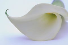 Art from the Heart