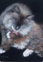 Pets, People, & Other Animals
