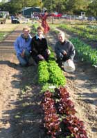 Celebrate our Local Food Heritage this Holiday Season