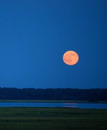 palm-key-red-moon