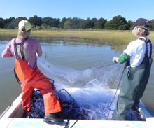dnr-meador-pull-trammel-net