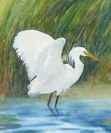 Lowcountry Inspirations