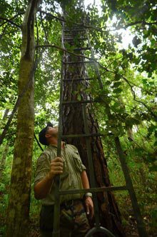 outsider-Hunting-ladder