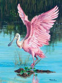 nature-Roseate-Spoonbill
