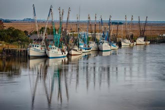Lowcountry Photography at USCB