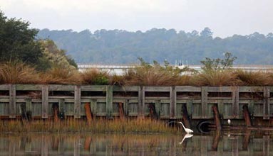 Spanish Moss Trail Starts Phase 4
