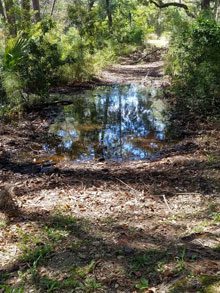 debugging standing water