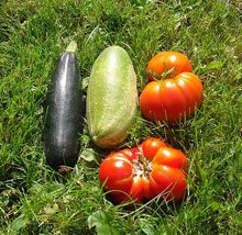 Summer’s Bounty