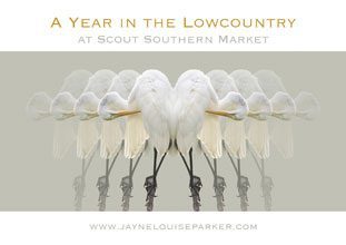 Jayne Parker at Scout 