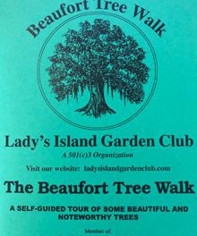 Take a Walk Through the Trees