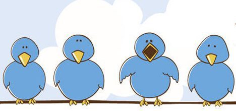 Birds of a Feather