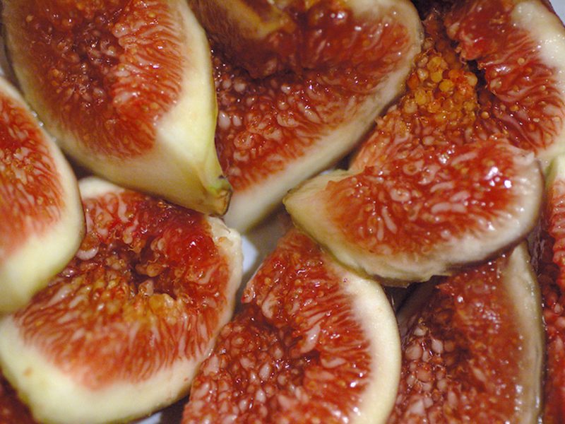 It’s Fig Season!