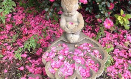 Southern Living . . . Through the Seasons