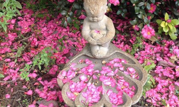 Southern Living . . . Through the Seasons