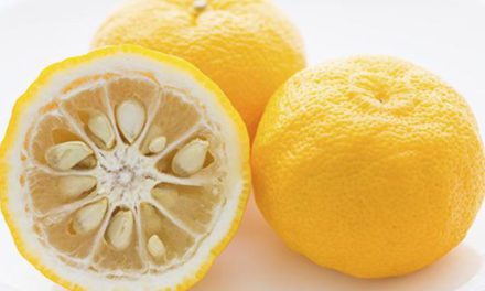 The New Yuzu
