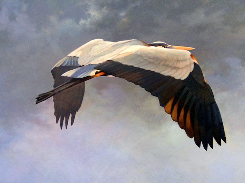 Addison Palmer Spring Exhibit