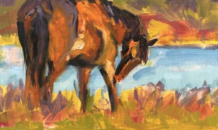 Artist Spotlight on Murray Sease
