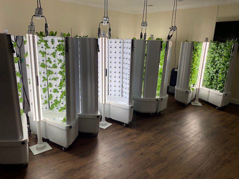 Local Nonprofit Tackles Food Insecurity With Healthy Innovation