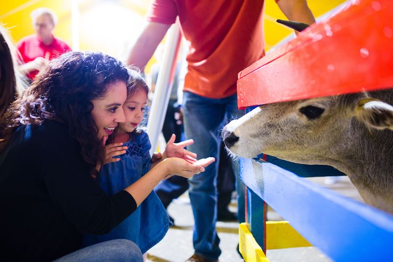 SC State Fair Accepting Entries