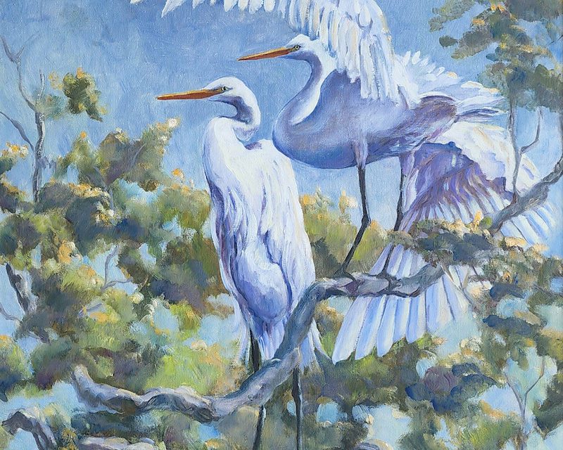 Celebrating 50 Years of Art