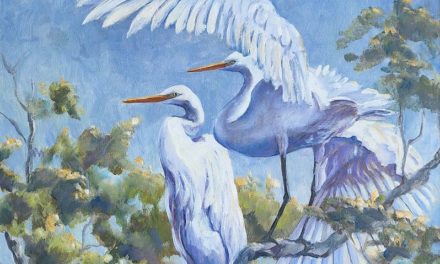 Celebrating 50 Years of Art