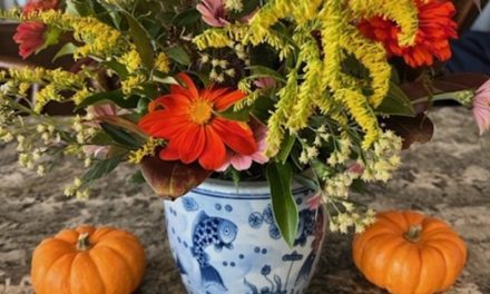 Thankful in November