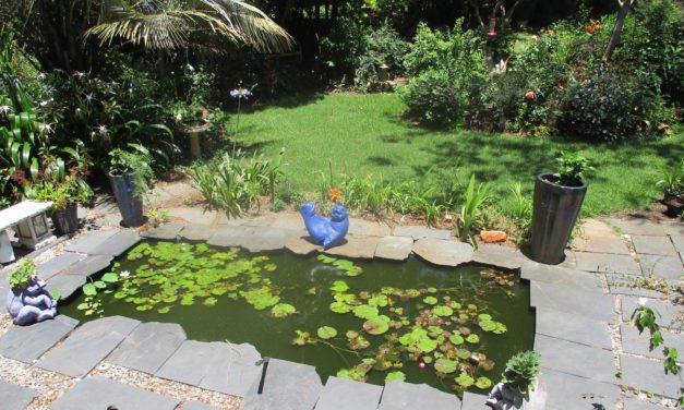 What Not to Do in Your Backyard