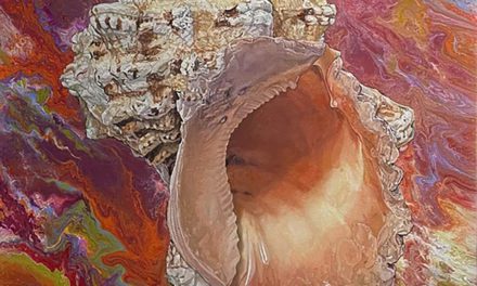 Top Artists Selected for Biennale