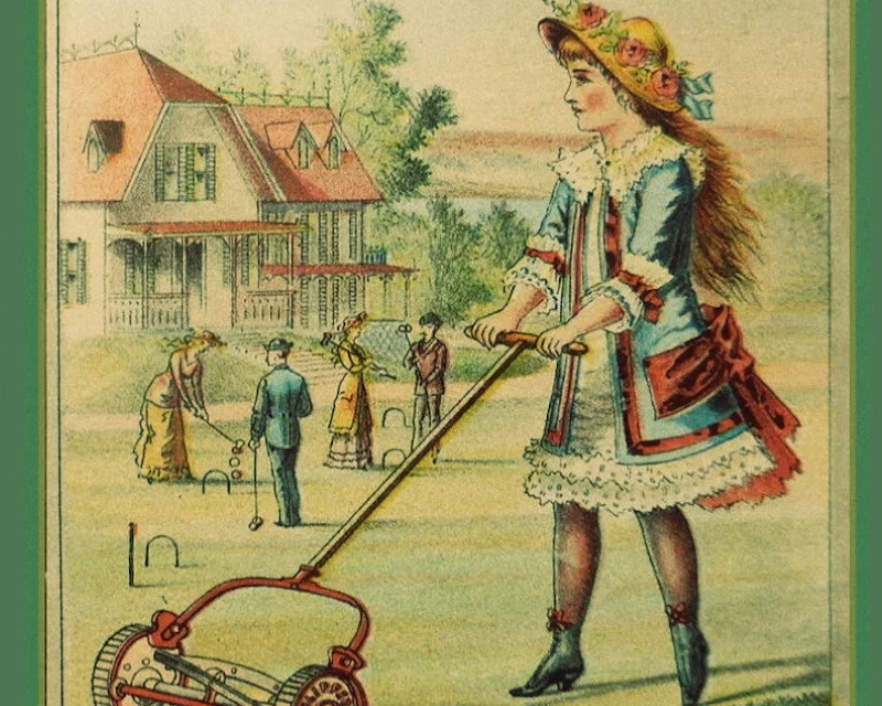 The Great American Lawn