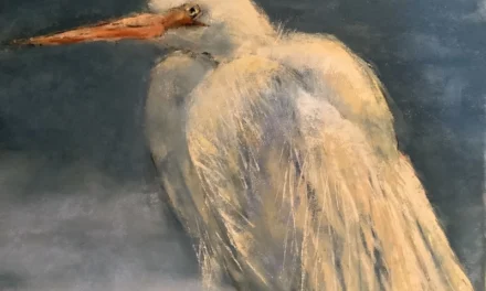 Studio Art Walk in Pigeon Point