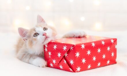 Holiday Open House at PAL Adoption Center