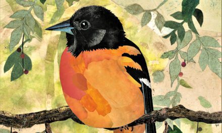 ‘Now & Then’ at Art League Gallery
