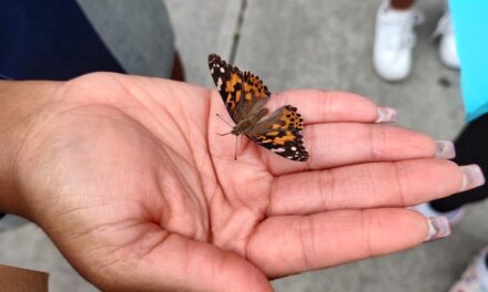 Release & Remember