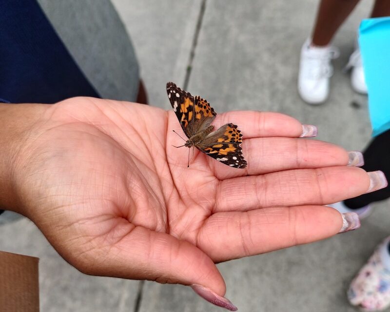 Release & Remember