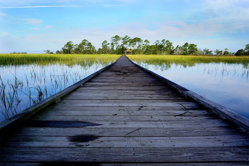 Land-Escapes: Through My Lens