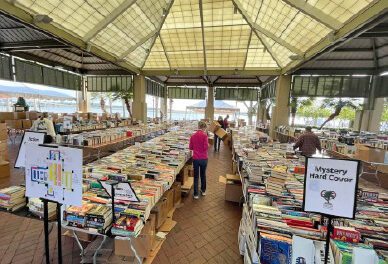 Book Sale in the Park
