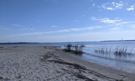 Shifting Sands