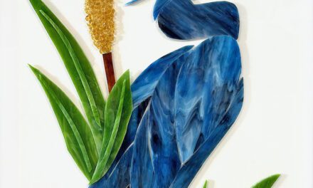Blooms, Birds and Butterflies