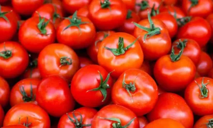 Tomatoes: A Fruit with an Identity Crisis