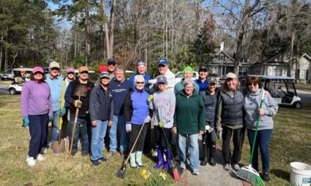 Volunteer Gardening