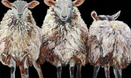 The Black Sheep