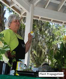Lunch and Learn Returns!