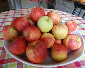 Appealing Autumn Apples
