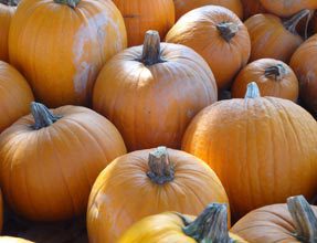 Trunk or Treat Returns to Port Royal