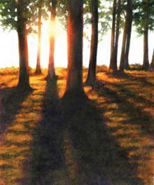 Sunlight & Shadow