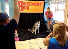 Basement Bob Goes to the Dogs