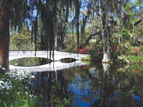 Charleston Magnolia Plantation Bridge